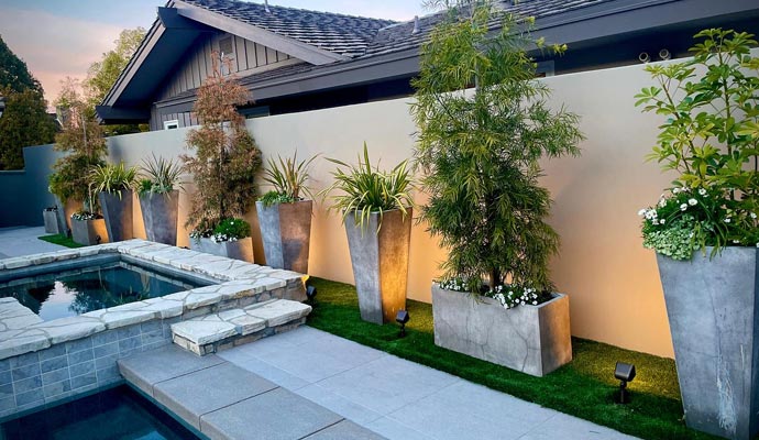 Backyard landscape lighting