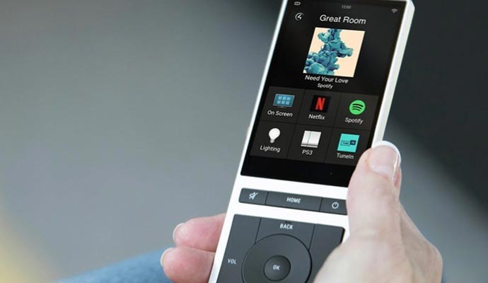 Person holding a smart remote control