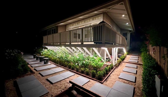 Professional landscape lighting installed in yard