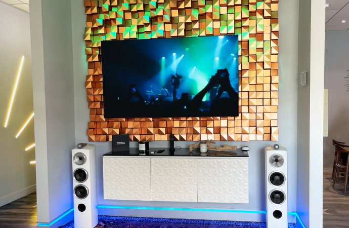 Living Room TV Installation