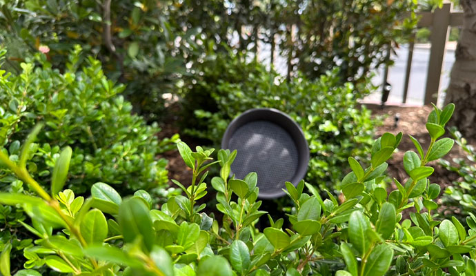 Dark outdoor landscape speaker nestled in garden bushes.